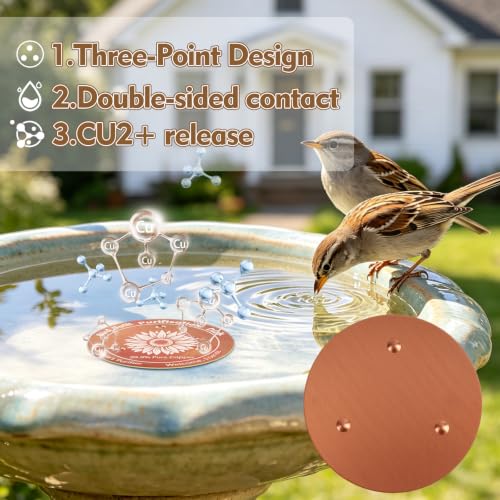 2 Pcs Copper Bird Bath Disc, Solid Copper Disk for Bird Bath, Sunflower Bird Bath Copper Disk, Natural Water Purifier for Outside Bird Bath All-Season - color: Sunflower