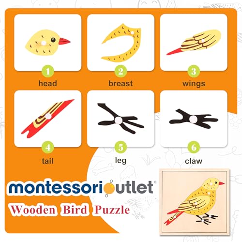 Montessori Bird Anatomy Puzzle, Wooden Body Parts Learning Toy, Preschool Science Puzzle for Kids Ages 3-6, Classroom & Homeschool, Baltic Birch - color: Bird