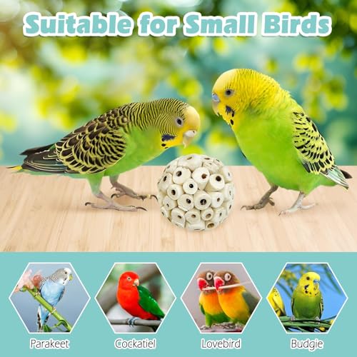 PINVNBY 6 Pack Small Sola Balls Bird Toys 2.36" Soft & Chewable Bird Chew Ball Natural Sola Plant Lightweight Shred Toy for Parakeet Cockatiel Lovebird Budgie and Similar Sizes Pets