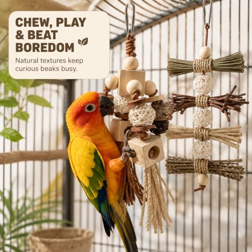 2Pcs Natural Bird Toys for Parrots, Parakeet & Cockatiel - Foraging Cage Toy with Wood, Cork Bark, Raffia - Shredding Chewing Gear Conures, Budgies, Lovebirds - Safe Stainless Link