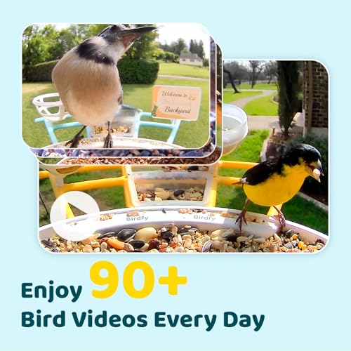 NETVUE by Birdfy Pro Smart Bird Feeder with Camera Solar Panel, Instant Arrival Alerts, Live Stream & Night Vision for Outdoors & Backyard Hummingbird, Cardinalis & Oriole Watching, Ideal Gifts,Yellow - color: Yellow, style: Pro