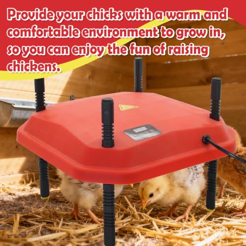 Chick Brooder Heating Plate Adjustable Height and Angle Plate Temperature Display for up to 20 Chicks 50W Chicken Coop Accessories Poultry Heating for Small Chicks,Ducks,Quails