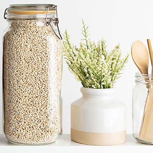 Glass Jar with Airtight Lid 67 oz | Food Storage Jar, Wide Mouth, Leak Proof Kitchen Canister - size: 67 oz