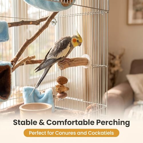 Bird Swing Perch with Chew Toys for Small Parrots, Cage Accessory | Natural Pear Wood 2PCS Bird Cage Set with Perch, Hanging Swing & Chew Toys for Conures, Cockatiels & Small Parrots