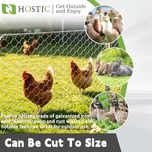 4FTx150FT Chicken Wire Netting, Galvanized Wire, Hexagonal Fencing | 2inch Mesh 20Gague 0.9mm Diameter for Poultry Garden Fence Barrier, Chicken Wire Fencing - size: 4FTx150FT