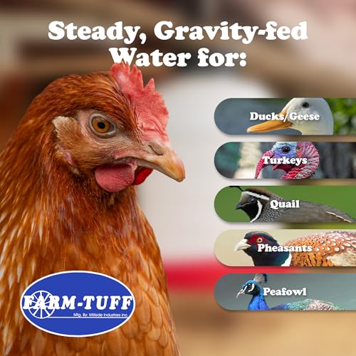 FARM-TUFF Premium 5-Gallon Hanging Chicken Waterer – BPA-Free Plastic, Top-Fill Poultry Fountain for Chickens, Ducks, Turkeys & Game Birds - size: 5G+