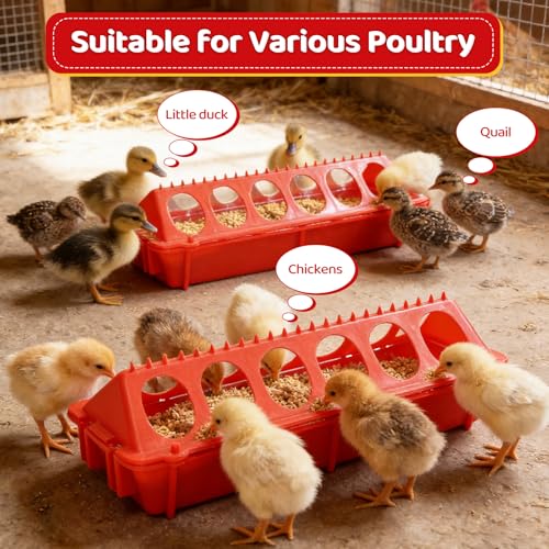 2 Pack Flip Top Chick Feeder Trough 12 Holes Holes No Waste Spill Proof