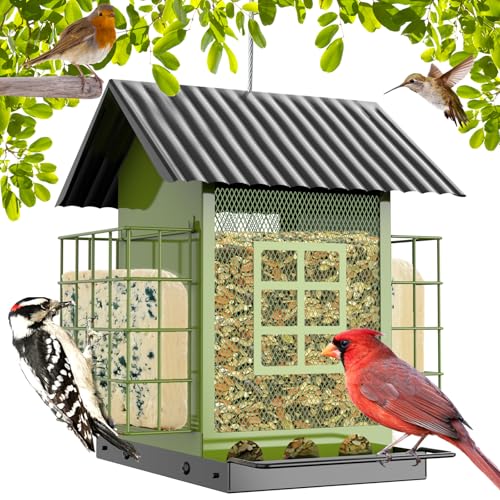 FlowaFoli Bird Feeders for Outdoors Hanging, Metal Bird Feeder with Double Suet Cage Cake, Large Capacity, Birdfeeders Sturdy & Weatherproof, Easy to Clean & Refill, Great for Attracting Wild Birds - color: Green