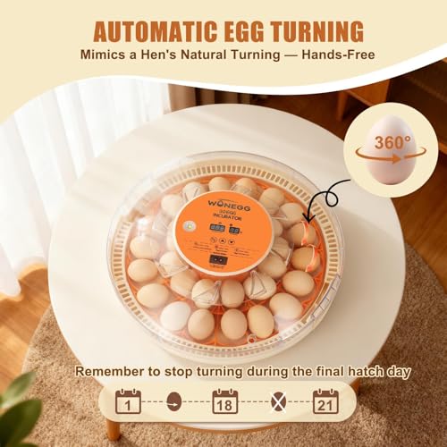 Gen IV - 30 Egg Incubator, Wide-Range Humidity with Manual Water Fill, Stable Temp Control, Dual-Size Egg Slots, Auto Egg Turning, Candler, Real-Time Display for Hatching Poultry Eggs - size: 30 egg-white