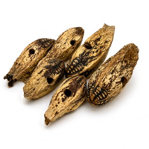 Bonka Bird Toys 3410 Drilled Mahogany Pods Shreddable Foraging Bird Toy with Natural Materials Hanging Cage Toy 9" for Small to Medium Parrots Budgie Cockatiel Conure Chewing Enrichment (Pack of 12) - size: Pack of 12
