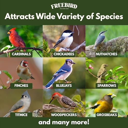 Freebird Premium Songbird Blend Wild Bird Seed for Outdoor Feeders - 5 lb | Premium bird food with black oil sunflower, safflower, millet and peanut pieces. Attracts cardinals, finches and chickadees.