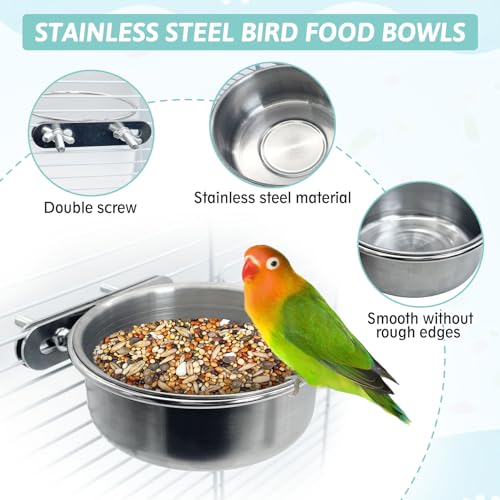 PINVNBY Stainless Steel Bird Bowl Parrot Food Water Bowls with Clamp Holder Bird Feeder Dish Cups Crate Bowls for Cockatiel Pigeons Conure Budgies African Greys (2PCS Screw Size: L)