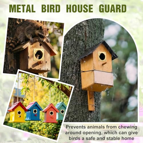 Hotop 12 Pcs 1 1/2 Inch Opening Bluebird Metal House Hole Guard with Rain Baffle Portal Bird House Protect Bird Room Guard Copper Portal with Opening for Eastern Bluebird Rooms Sparrow Houses(Gold) - color: Gold, size: 1 1/2 Inch, style: Opening with Rain