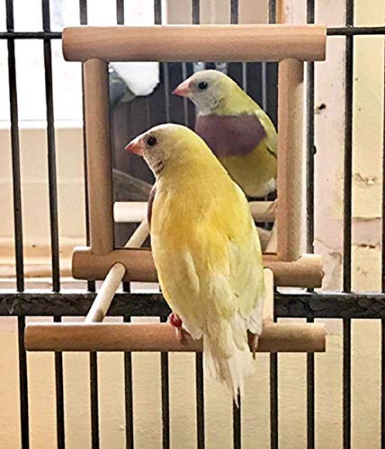 Birds Mirror for Cage,Parrot Hanging Swing with Mirror,Natural Wooden Play Mirror Pet Bird Cage Accessories with Metal Hook