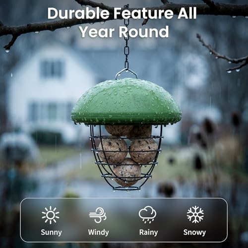 LONA Suet Ball Bird Feeder Outdoor Hanging Fat Ball Feeders with Versatile Mount Durable Weatherproof Washable Transparent Tube Wire Steel Metal Feeder for Wild Birds - style: Style2-Normal Cage