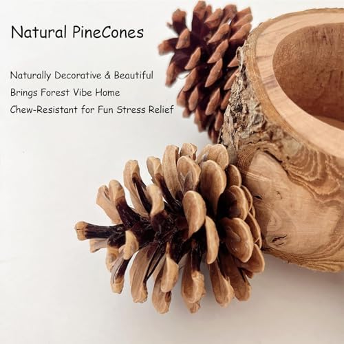 Bird Perch with Feeder for Cage & Chew Toys Pinecones - Bird Cage Accessories 100% Natural & Durable for Cockatiel, Conure, Budgie, Lovebird, Parakeet - Parrot Food Treats Bowl for Foraging