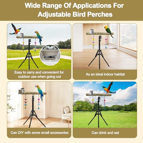 16-63 Inch Height Adjustable Bird Perch Pepper Wood Parrot Training Perch Stand with Feeding Cups and Swing Toy Parakeet Perches Indoor and Outdoor Parrot Stands for Small to Medium Bird - size: Floor Bird Perch with Feeding Cup