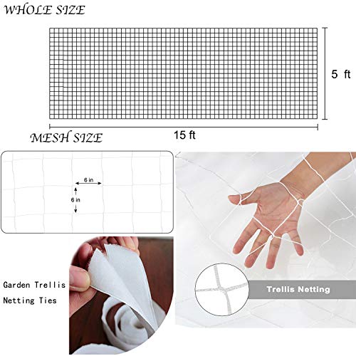 6in Mesh Trellis Netting, 5x15ft, 1 Pack | Polyester mesh netting for vine crops & plants; Suitable for garden garden applications - size: 6" Mesh (5'X15')