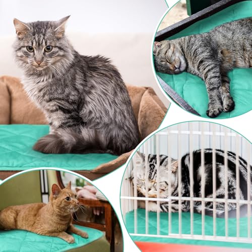 4 Pack Self Heating Cat Pad Self Warming Dog Mat Reflects Body Heat Extra Warm Thermal Pet Pad Washable Dog Cat Bed Crate Bed Mat Blanket (16 x 20 Inch,Mint Blue) - color: Mint Blue, size: 16 x 20 Inch