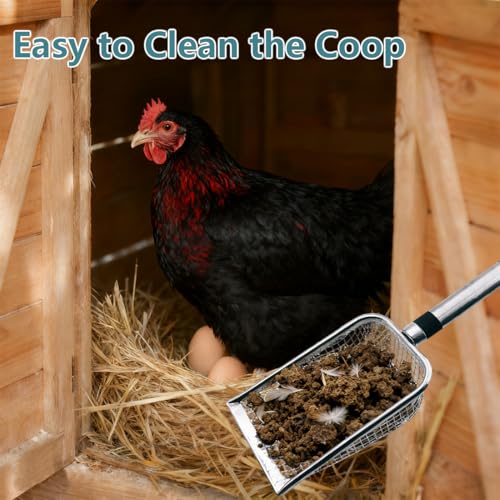 Chicken Poop Scooper, 2pcs Lightweight Sturdy Metal Scoop & Rake with 3.8mm/5mm Mesh for Small Coops, Easy Sifting Sand & Waste, Essential Backyard Poultry Cleaning Supplies