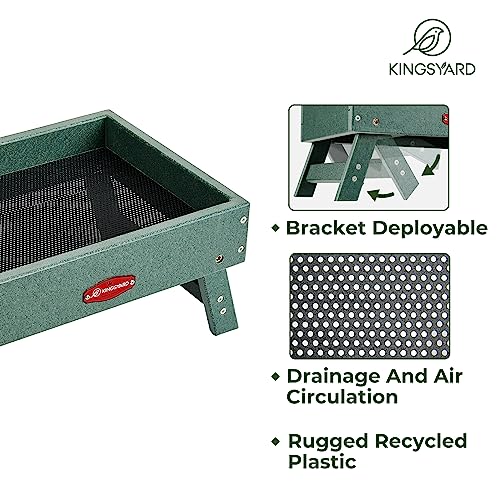 Kingsyard Ground Bird Feeder, Elevated Tray with Recycled Poly Lumber | Metal Mesh Base, Quick Drainage, Foldable Legs for Easy Storage, 5 Lbs Seed Capacity, Weather Resistant, Easy to Clean, Green - color: Green