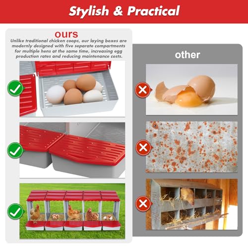 5 Hole Chicken Nesting Box with Rolling Egg Collection Design | Rolling Egg Collection & Protection Nesting Boxes, Avoid Broken Eggs, Ideal for Coops, Backyard & Family Chicken Raising ﻿ - size: 5 Compartment