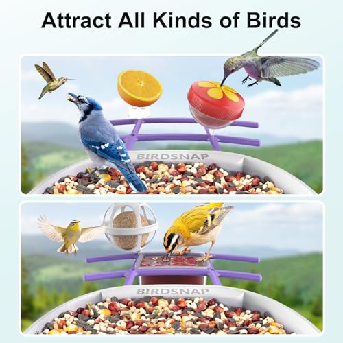 birdsnap® PAV Bird Feeder with Camera Solar Powered 2K Live Video 64GB Card | AI Bird Species Identification, Instant Arrival Alerts, IP65 Waterproof, Wild Bird Feeders for Outdoors, Gift for Bird Lovers - color: Purple