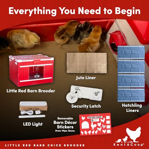 RentACoop Little Red Barn Chick Brooder