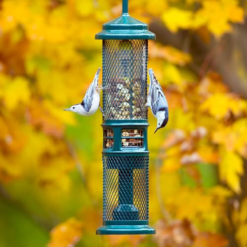 Squirrel Buster Nut Feeder Squirrel-Proof Bird Feeder for Shelled Peanuts & Dried Fruit, Weight-Adjustable, Woodpecker Friendly, 1.3lb Capacity with 2 Interchangeable Meshes | For shelled peanuts and dried fruit, weight-adjustable, woodpecker friendly, tw