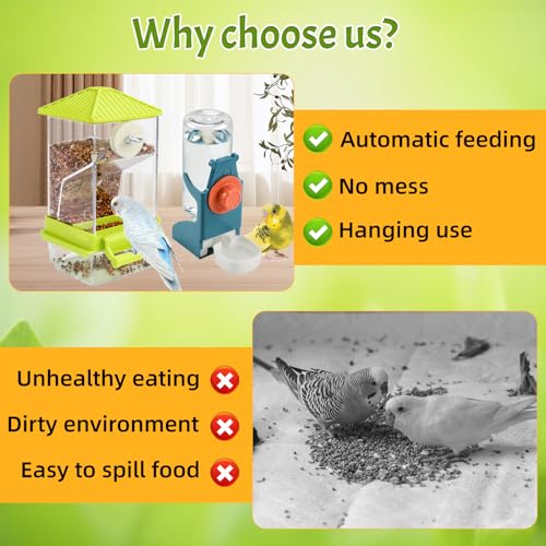 Rypet No-Mess Bird Feeder and Water Dispenser Set for Small Birds | Automatic Bird Feeder, Transparent Acrylic Food Container, Helps Reduce Seed Scatter, for Parakeet Cockatiel Parrot Canary - color: A80 Green Feeder + Drinking Bottle