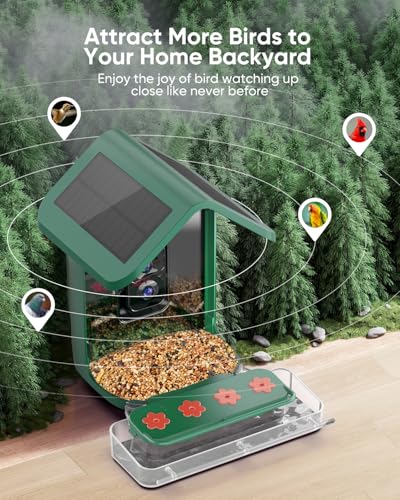 Bird Feeder with Camera Solar Powered: Smart Hummingbird Feeder for Backyard Tree - 2K Live AI Identify Auto Capture Bird Video - WiFi Bird Watching Feeders Gift for Mom Dad - color: deep green