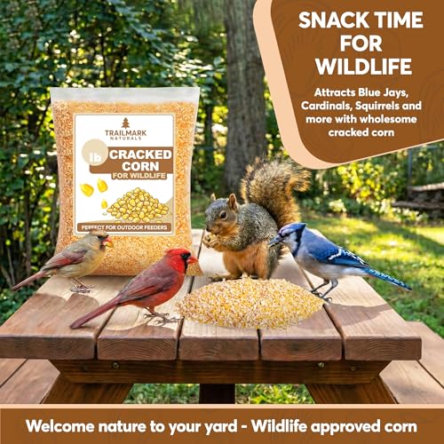 Cracked Corn 10 lb – Premium Bird Seed & Wildlife Feed for Ducks, Deer, Squirrels, Chickens, and Turkeys – Cracked Corn for Wild Birds – Grown in USA