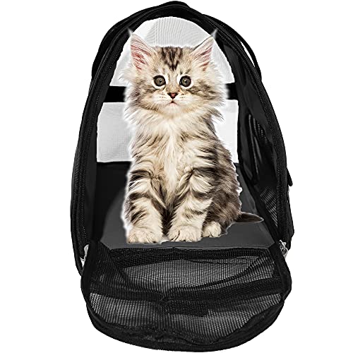 MuchL Pet Carrier Soft-Sided Carriers for Cat Carriers Dog Carrier for Small Medium Cats Dogs Puppies Pet Carrier Airline Approved Cat Dog Pet Travel Carrier (Medium,Black) - color: Medium-Black