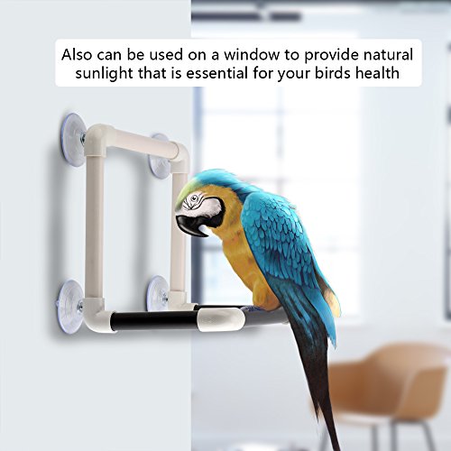 Parrot & Shower Perch for Bird Cage Accessories Bath Stand Supplies Medium/Large Birds