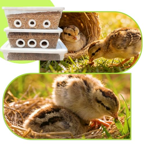 Quail Chick Port Feeder for DIY Buckets & Containers, Feed Saver Ports for Coturnix Quail (1.5in · 9-Pack)