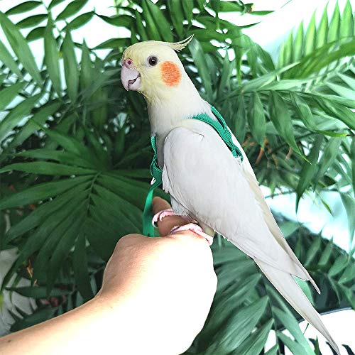 ASOCEA Adjustable Bird Harness and Leash, 2 Pack Bird Food Stainless Steel Cups for Yellow Naped Amazons Galah Cockatoos Small to Medium Breed Parrots Fits Birds Chest