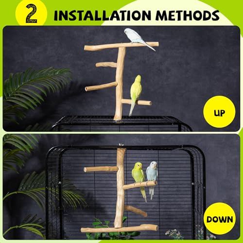 Bird Perch for Top of Cage, Natural Wood Play Stand