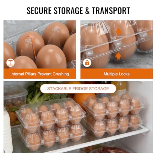100 Pack Plastic Egg Cartons Cheap Bulk 8 Count, Clear Egg Trays 2x4 Grids | Comes with Date Tracking Stickers Egg Care Instructions, Reusable Egg Holder for Refrigerator, Family and Chicken Farm