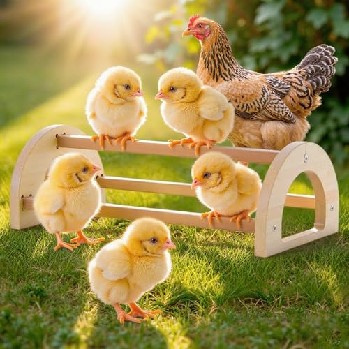 Chicken Roosting Perch Bar - Large Pine Wood with Mirror, Outdoor Use, Easy Installation