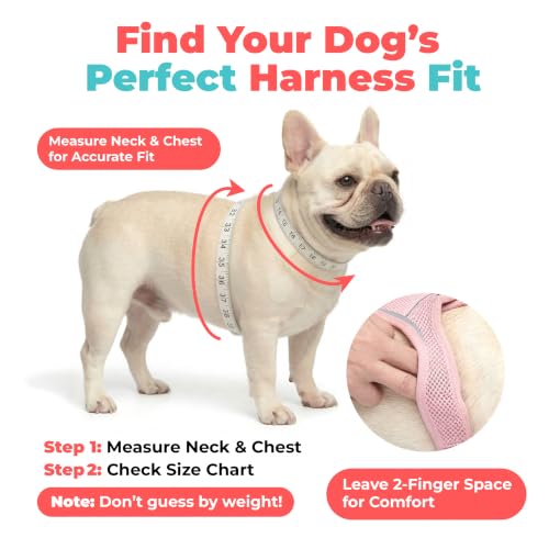 Voyager Step-in Air Dog Vest Harness - Black, Small | 14.5-16" in Chest, Reflective Bands, All Weather Breathable Air Mesh, Cats Compatible, Lightweight, Fast Drying - color: Harness (Black), size: S (Chest: 14.5 - 16")