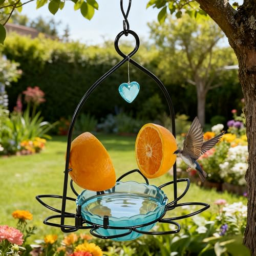 FORUP Oriole Bird Feeder, Orange Fruit Oriole Feeder (Blue) - color: Blue