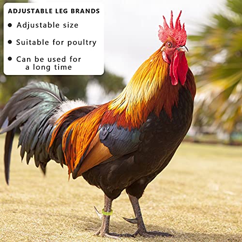 Shappy 120 Pcs Chicken Leg Bands 6 Color Adjustable Poultry Identification Rings, Numbered 1-120 Self-Locking Ankle Rings for Chicken, Turkey, Duck, Goose, Bulk for Farm Management Wire Organizing