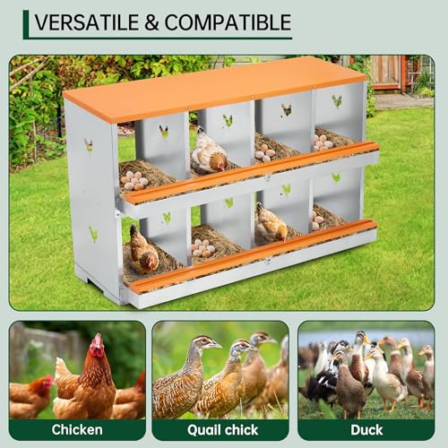Garvee Chicken Nesting Box, 10 Compartments Nesting Box for Chickens, Galvanized Steel Chicken Laying Box for Easy Egg Collection, Wall Mounting - color: Orange | 10 Compartment