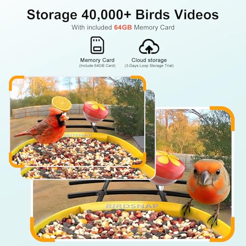 birdsnap® PAV Bird Feeder with Camera Solar Powered 2K Live Video 64GB Card | AI Bird Species Identification, Instant Arrival Alerts, IP65 Waterproof, Wild Bird Feeders for Outdoors, Gift for Bird Lovers - color: Dark Yellow