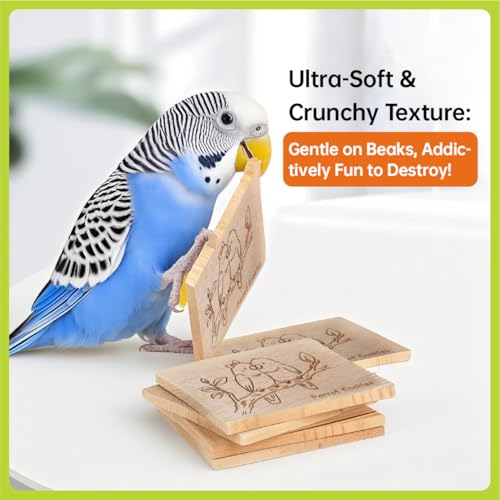 Natural Balsa Wood Bird Chew Toys,10 Pack Soft Wooden Slices with Prints - size: Small