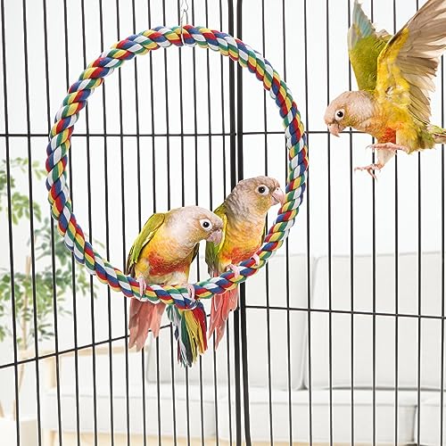 Wontee Bird Swing Colorful Rope Perch Climbing Toy for Parrots (M 10.4inch) | Soft cotton rope, colorful, supports balance, encourages climbing & swinging, for budgie/parakeet/cockatiel/conure - size: Medium (10.4 inch)