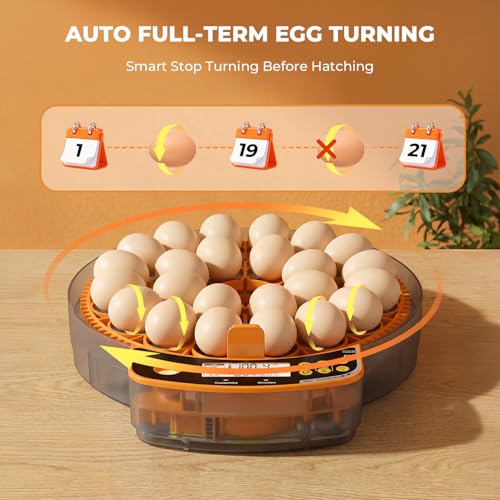 24 Egg Incubator - Smart Incubators for Hatching Chicken Eggs with Temperature & Humidity Control, Egg Candler, Auto Egg Turner, and Abnormal Alarm - size: 24 Eggs
