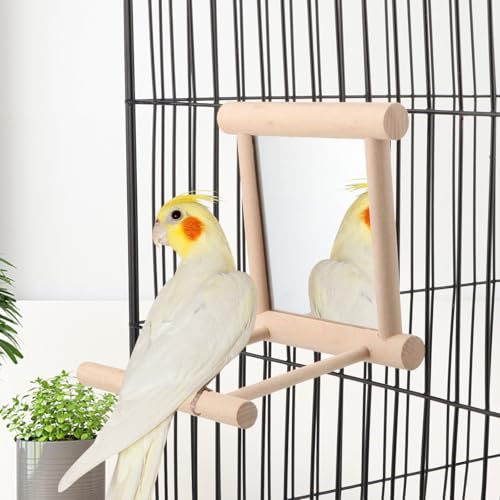 Wontee Bird Bath Parrot Bathing Tub Bird Mirror with Perch Toys for Budgies Parakeets Cockatiels Lovebirds Finches Canaries - color: Green