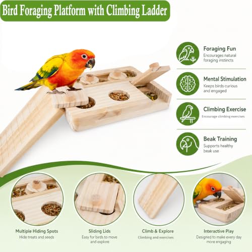 FlidRunest Wooden Bird Foraging Puzzle Platform with Climbing Ladder for Parrots, Parakeet, Cockatiel, Sun Conures - Birds Interactive Mental Enrichment Toy, Bird Seed Slow Feeder Toy for Cage