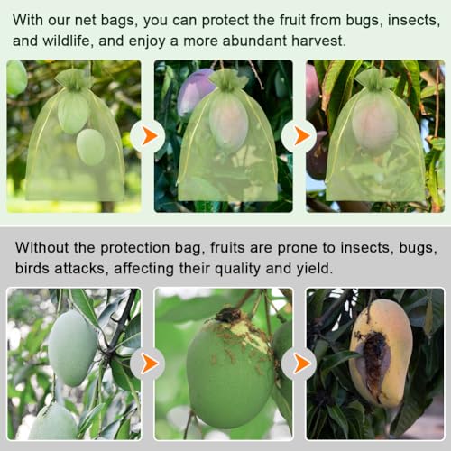 Shintop 100Pcs Fruit Protection Bags, 8x12 Inch Green Grape Netting Cover | Drawstring Garden Bags, Fine Mesh Pest Barrier, Breathable Organza, Lightweight for Delicate Stems, For Apples, and Tomatoes - size: 8x12 inch